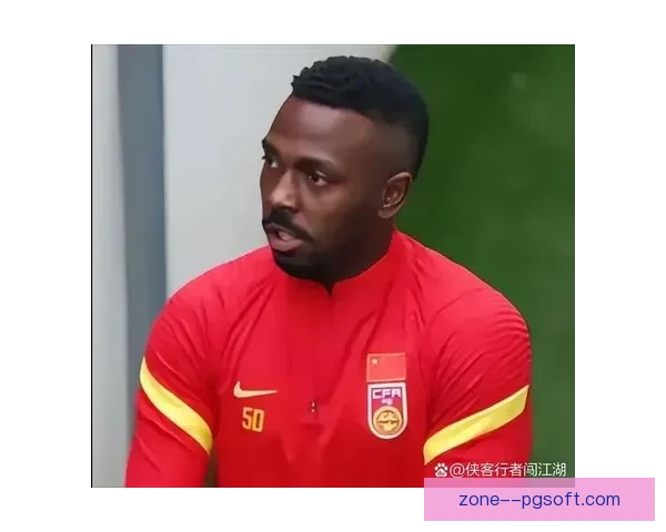 费南多正式加盟上海申花引发关注 新赛季助力球队冲击更高目标