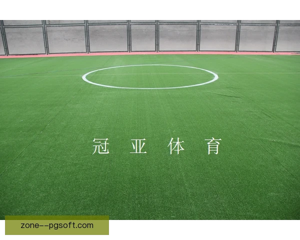 新建球场常见误区，重外观轻运营导致后续维护困难